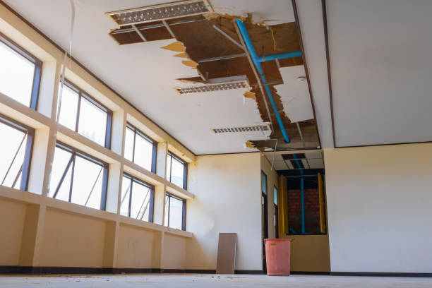 Best Water damage cleanup near me  in Lmar, DE