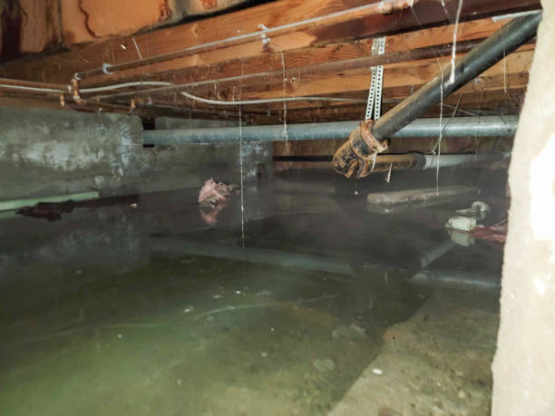 Best Commercial water damage restoration  in Lmar, DE