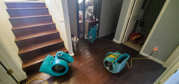 Best Water damage restoration insurance claims  in Lmar, DE