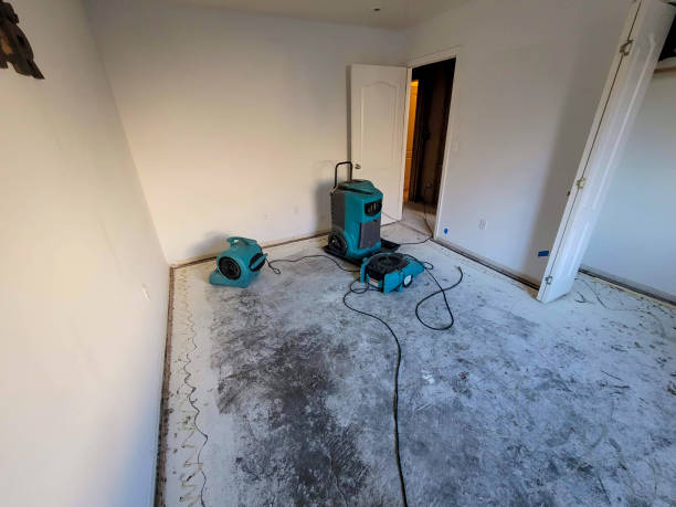Professional Water damage restoration in DE