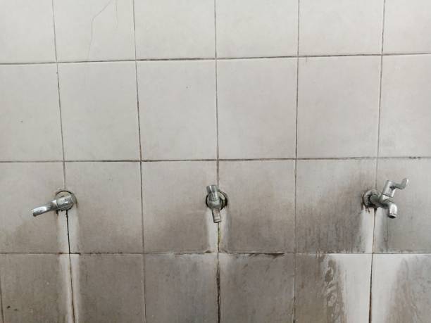 Best Mold removal after water damage  in Lmar, DE