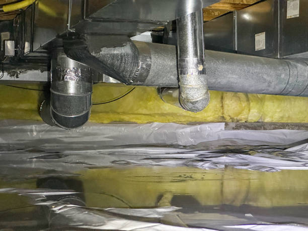 Best Water damage contractors near me  in Lmar, DE