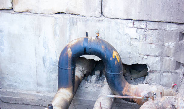 Best Sewage cleanup and water damage restoration  in Lmar, DE