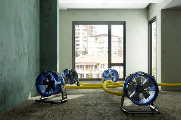 Best Water damage contractors near me  in Lmar, DE